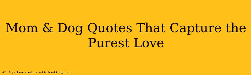 Mom & Dog Quotes That Capture the Purest Love