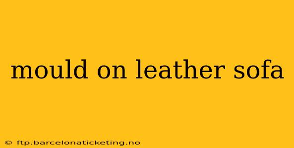 mould on leather sofa