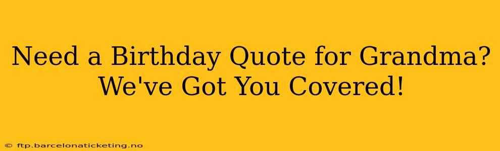 Need a Birthday Quote for Grandma? We've Got You Covered!