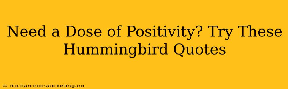 Need a Dose of Positivity? Try These Hummingbird Quotes