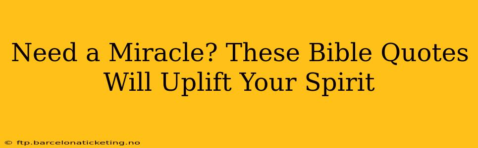Need a Miracle? These Bible Quotes Will Uplift Your Spirit
