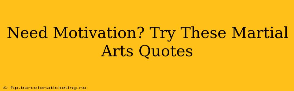 Need Motivation? Try These Martial Arts Quotes