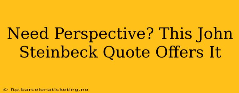 Need Perspective? This John Steinbeck Quote Offers It