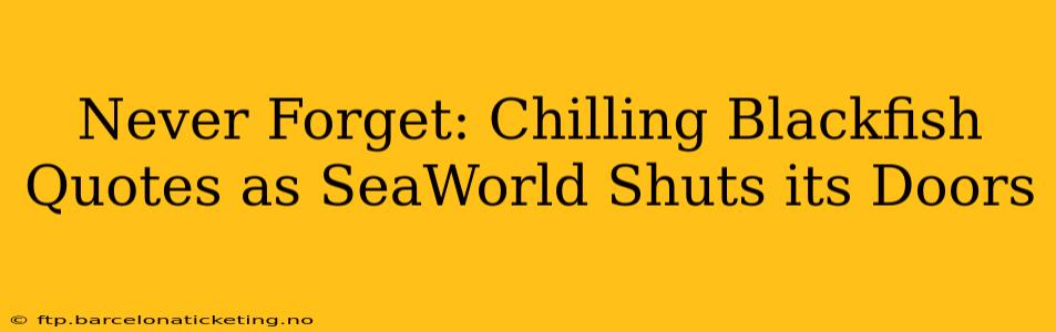 Never Forget: Chilling Blackfish Quotes as SeaWorld Shuts its Doors