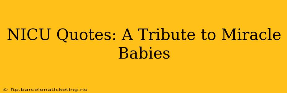 NICU Quotes: A Tribute to Miracle Babies