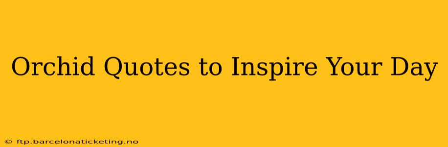 Orchid Quotes to Inspire Your Day