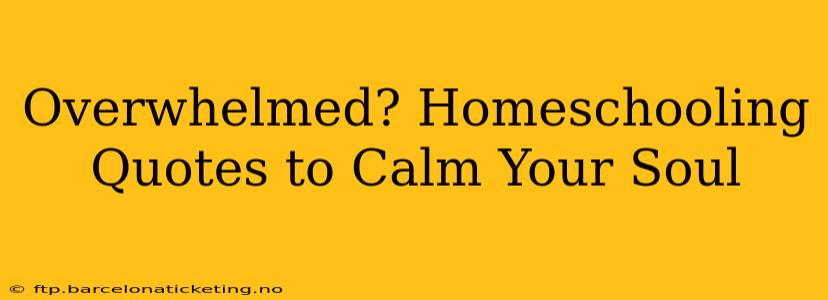 Overwhelmed? Homeschooling Quotes to Calm Your Soul