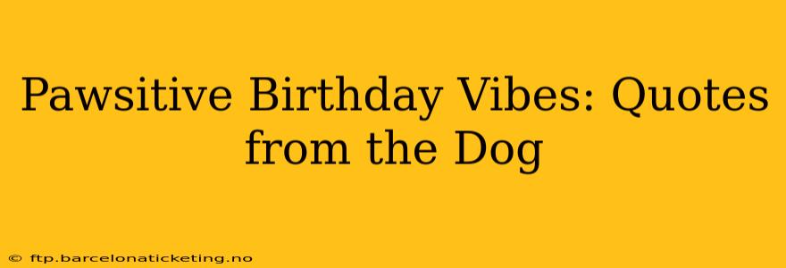 Pawsitive Birthday Vibes: Quotes from the Dog