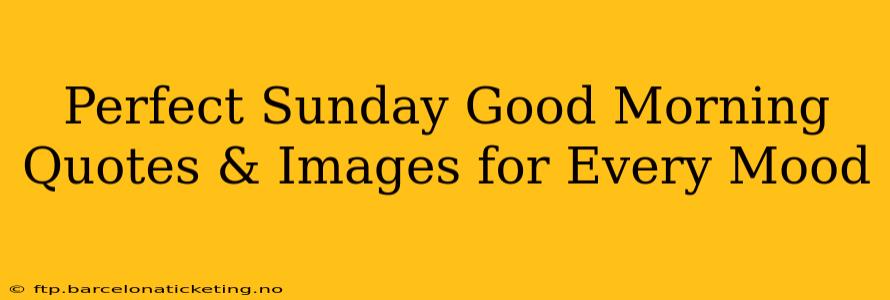 Perfect Sunday Good Morning Quotes & Images for Every Mood