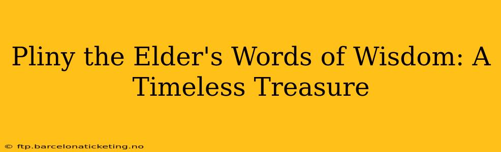 Pliny the Elder's Words of Wisdom: A Timeless Treasure