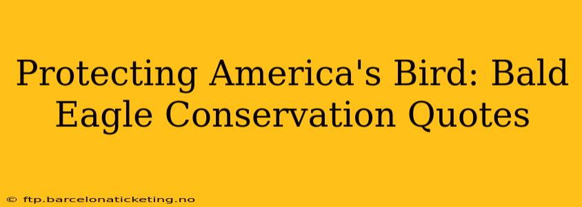 Protecting America's Bird: Bald Eagle Conservation Quotes
