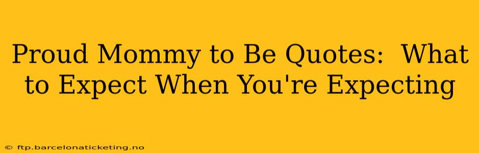 Proud Mommy to Be Quotes:  What to Expect When You're Expecting