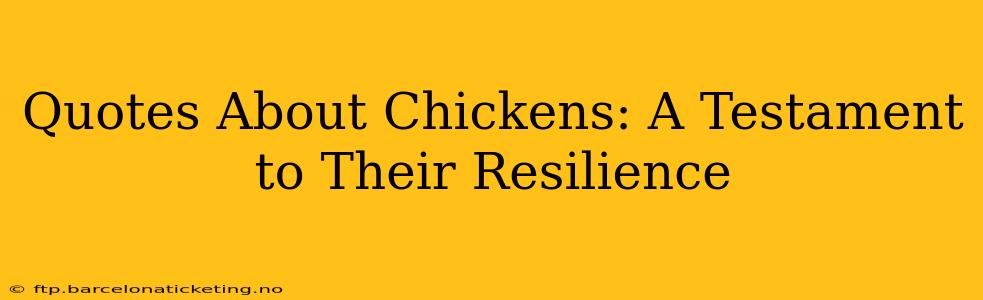 Quotes About Chickens: A Testament to Their Resilience