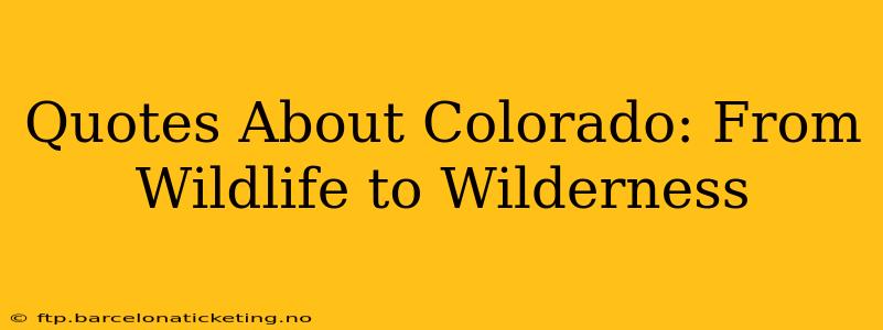 Quotes About Colorado: From Wildlife to Wilderness