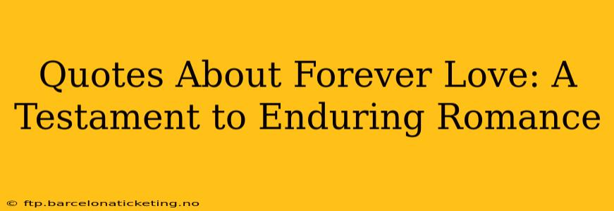 Quotes About Forever Love: A Testament to Enduring Romance