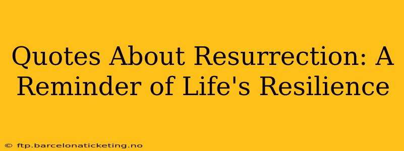 Quotes About Resurrection: A Reminder of Life's Resilience