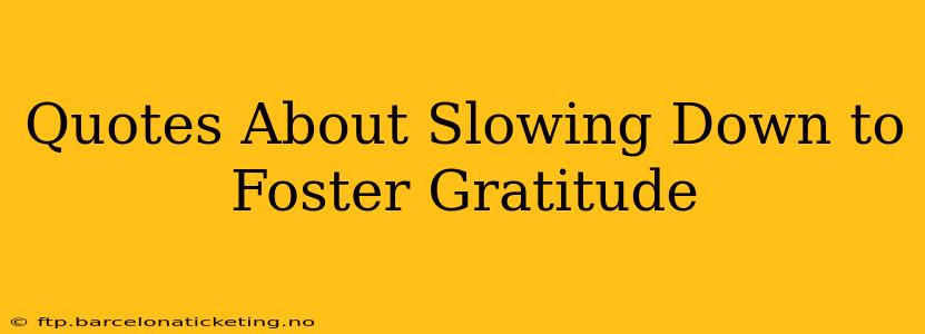 Quotes About Slowing Down to Foster Gratitude