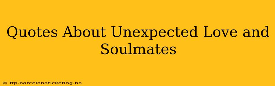 Quotes About Unexpected Love and Soulmates