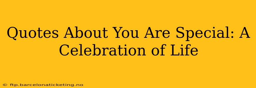 Quotes About You Are Special: A Celebration of Life