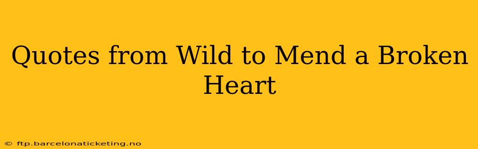 Quotes from Wild to Mend a Broken Heart