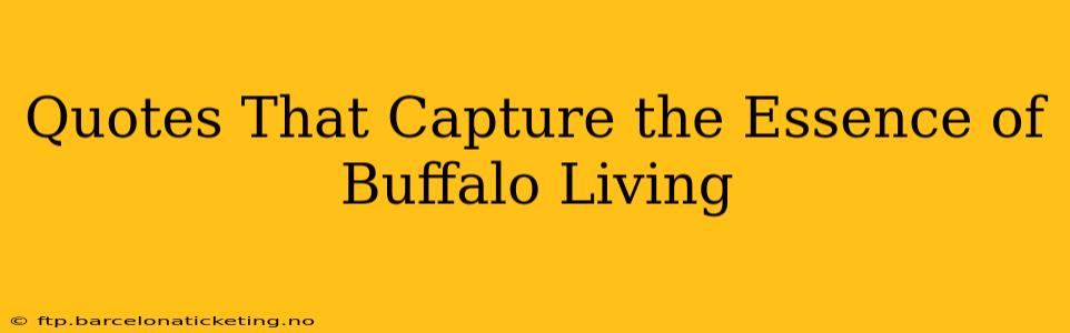 Quotes That Capture the Essence of Buffalo Living