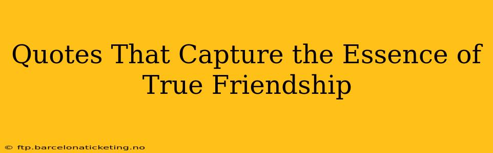 Quotes That Capture the Essence of True Friendship