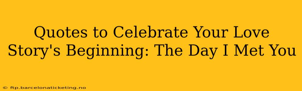 Quotes to Celebrate Your Love Story's Beginning: The Day I Met You