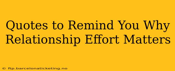 Quotes to Remind You Why Relationship Effort Matters