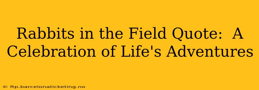 Rabbits in the Field Quote:  A Celebration of Life's Adventures