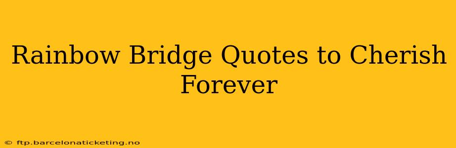 Rainbow Bridge Quotes to Cherish Forever