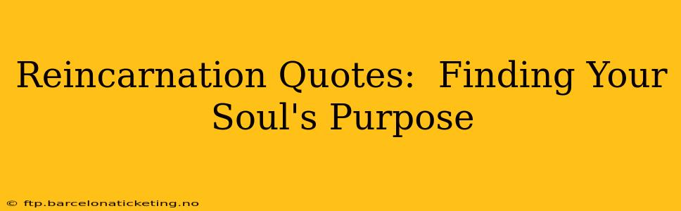 Reincarnation Quotes:  Finding Your Soul's Purpose