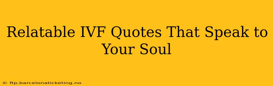 Relatable IVF Quotes That Speak to Your Soul
