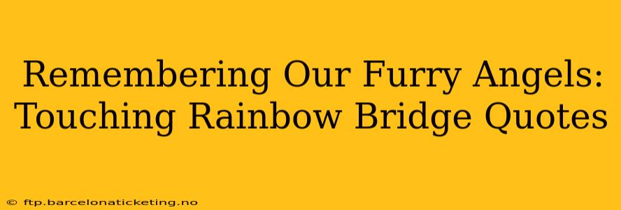 Remembering Our Furry Angels: Touching Rainbow Bridge Quotes