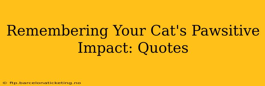 Remembering Your Cat's Pawsitive Impact: Quotes