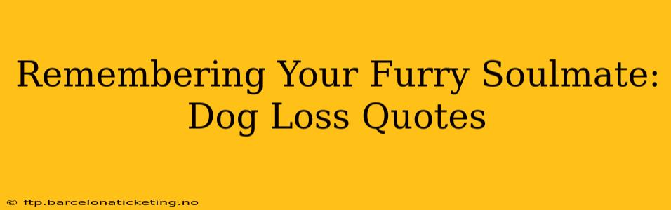 Remembering Your Furry Soulmate: Dog Loss Quotes