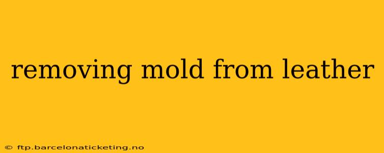 removing mold from leather