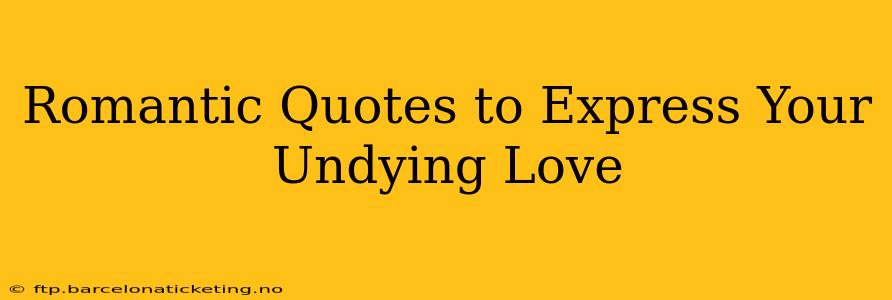 Romantic Quotes to Express Your Undying Love