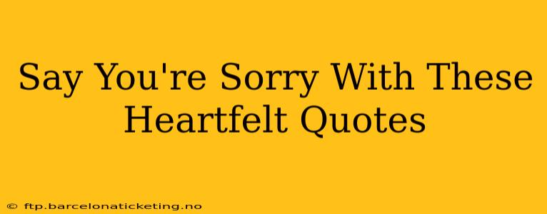 Say You're Sorry With These Heartfelt Quotes