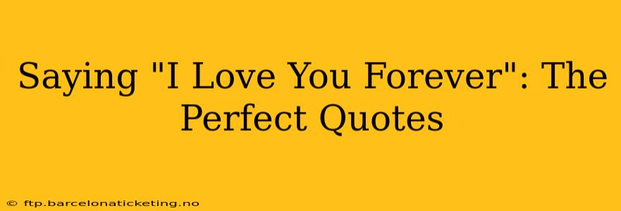 Saying "I Love You Forever": The Perfect Quotes