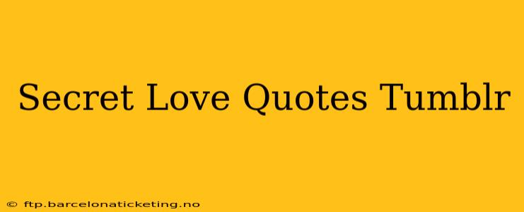 Secret Love Quotes Tumblr