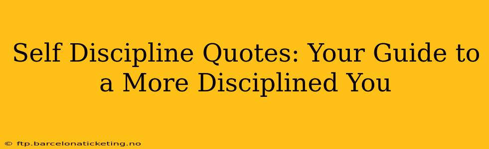 Self Discipline Quotes: Your Guide to a More Disciplined You