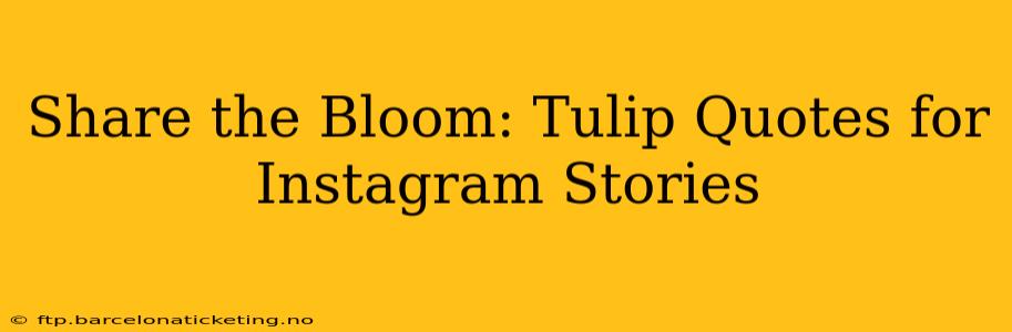 Share the Bloom: Tulip Quotes for Instagram Stories