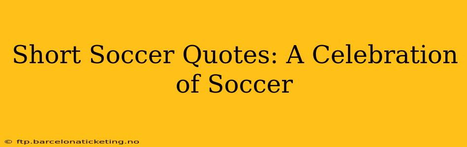 Short Soccer Quotes: A Celebration of Soccer