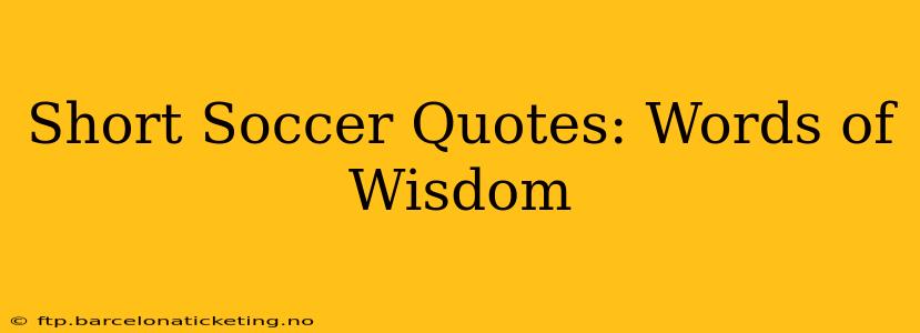 Short Soccer Quotes: Words of Wisdom