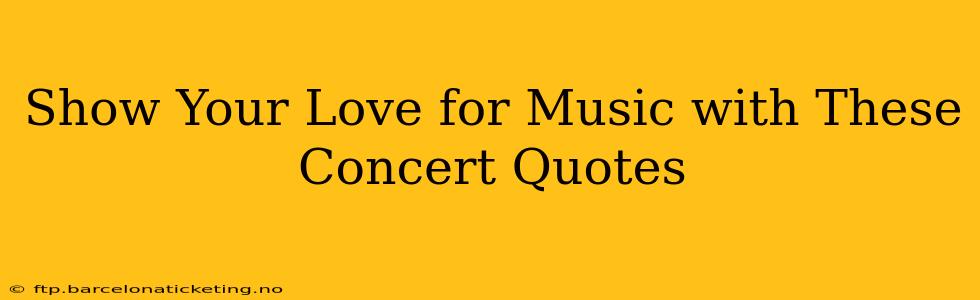 Show Your Love for Music with These Concert Quotes