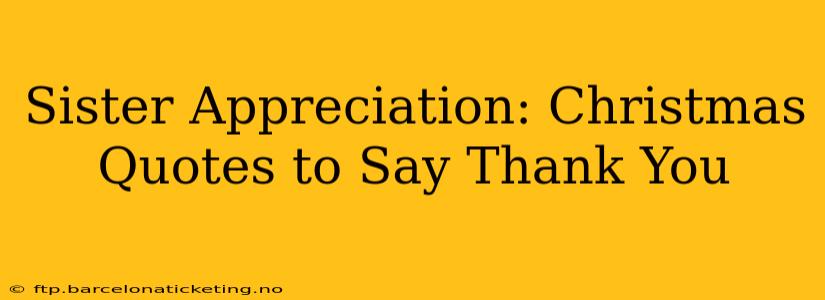 Sister Appreciation: Christmas Quotes to Say Thank You