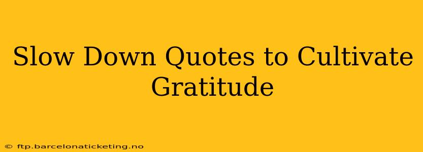 Slow Down Quotes to Cultivate Gratitude
