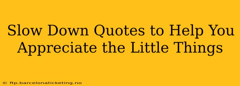 Slow Down Quotes to Help You Appreciate the Little Things