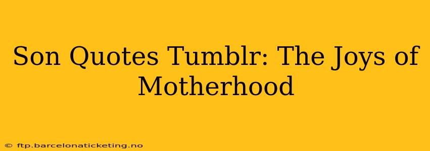 Son Quotes Tumblr: The Joys of Motherhood