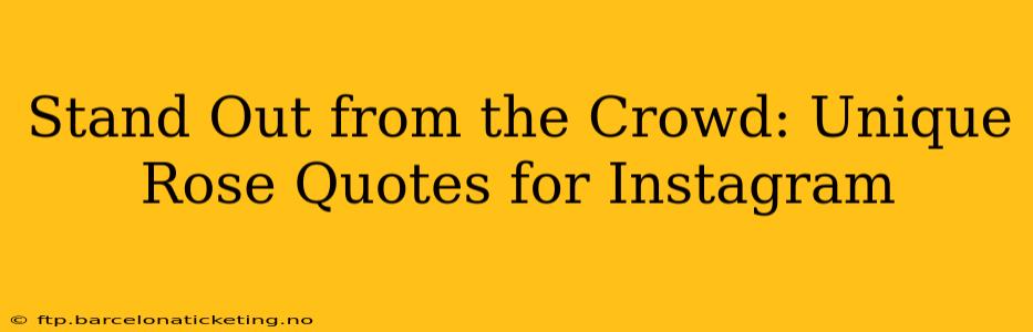 Stand Out from the Crowd: Unique Rose Quotes for Instagram